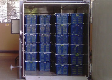 Vacuum cooler for vegetables and fruits